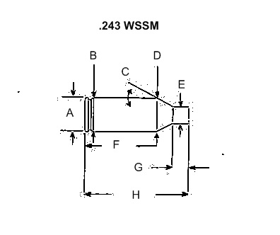 .243 Winchester Super Short Magnum (WSSM)